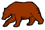 bear1