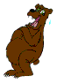 bear2a