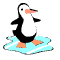 penguinflap